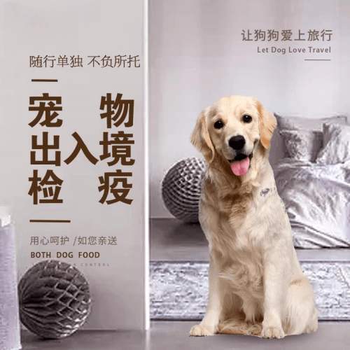 太仓宠物托运到哥伦比亚猫狗宠物入境规定和