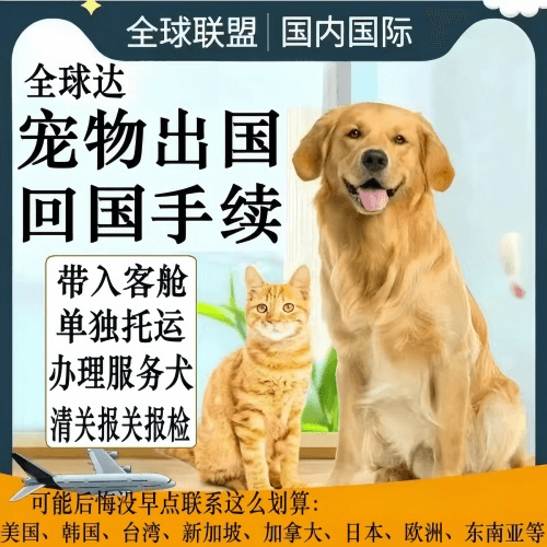 太仓宠物托运到柬埔寨宠物入境规定和要求
